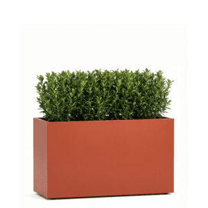 Botanical Planter