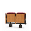 Scholar Segway Retractable Wood